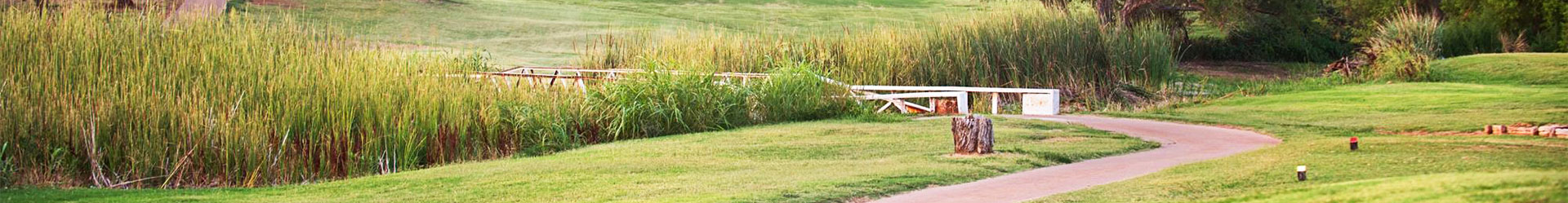 A serene landscape featuring tall grass, a winding path, and a wooden structure near a water body.